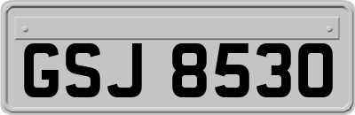 GSJ8530