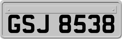 GSJ8538