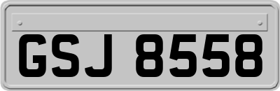 GSJ8558