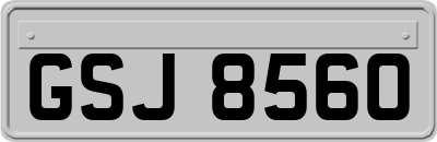 GSJ8560