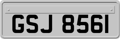 GSJ8561