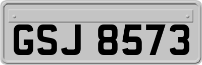 GSJ8573
