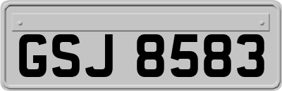 GSJ8583