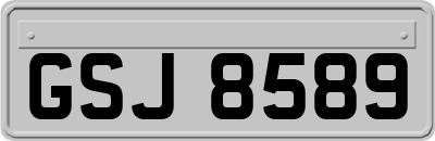 GSJ8589