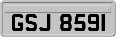GSJ8591
