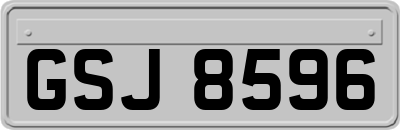 GSJ8596