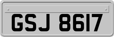 GSJ8617