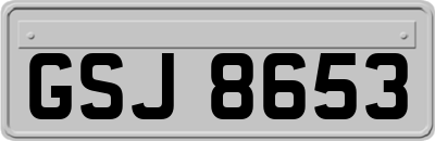 GSJ8653