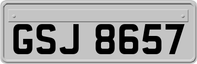 GSJ8657