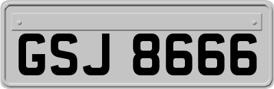 GSJ8666
