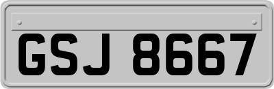 GSJ8667