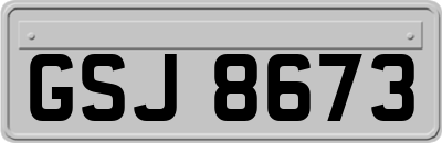 GSJ8673