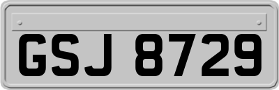 GSJ8729