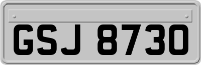 GSJ8730
