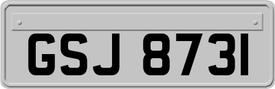 GSJ8731