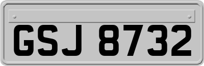 GSJ8732