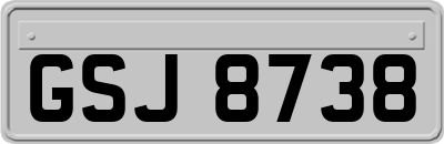 GSJ8738