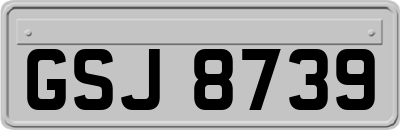 GSJ8739