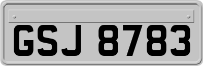 GSJ8783