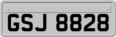 GSJ8828