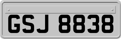 GSJ8838