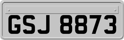 GSJ8873