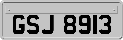 GSJ8913