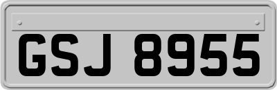 GSJ8955