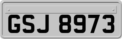 GSJ8973