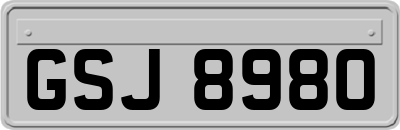 GSJ8980