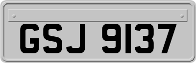 GSJ9137