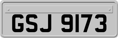 GSJ9173