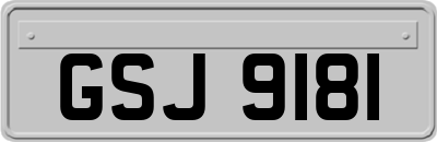 GSJ9181