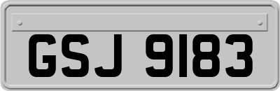 GSJ9183
