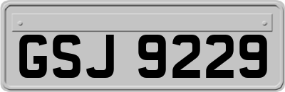 GSJ9229
