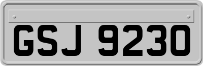 GSJ9230