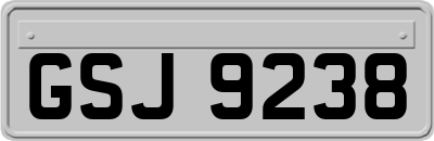 GSJ9238