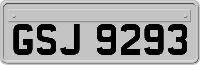 GSJ9293
