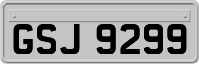 GSJ9299