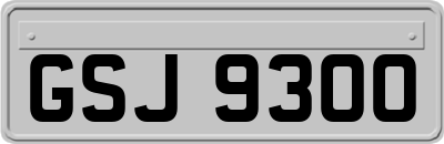GSJ9300