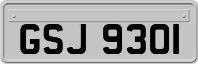 GSJ9301