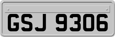 GSJ9306