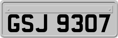 GSJ9307