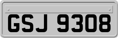 GSJ9308