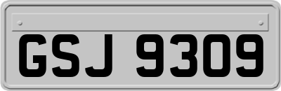 GSJ9309