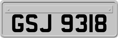 GSJ9318