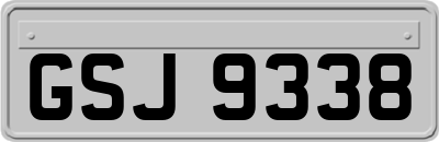 GSJ9338