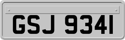 GSJ9341