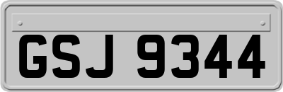GSJ9344