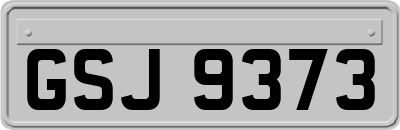 GSJ9373